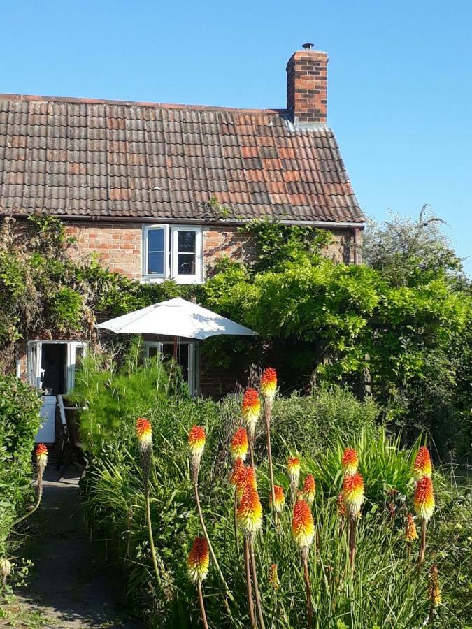 Morland Bed & Breakfast Burrowbridge Bagian luar foto